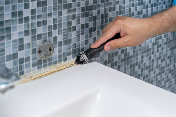 Best Residential Mold Remediation in Mays Landing, NJ