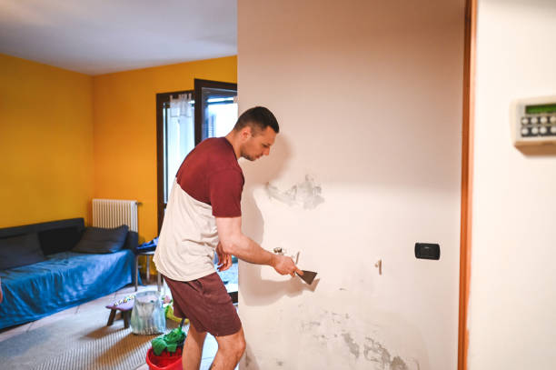 Best Industrial Mold Remediation in Mays Landing, NJ